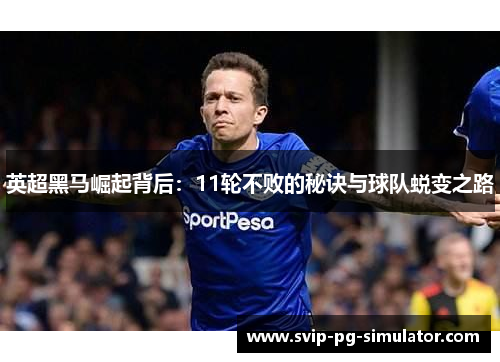 英超黑马崛起背后:11轮不败的秘诀与球队蜕变之路 英超黑马崛起背后:11轮不败的秘诀与球队蜕变之路