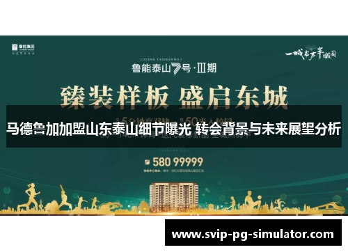 马德鲁加加盟山东泰山细节曝光 转会背景与未来展望分析